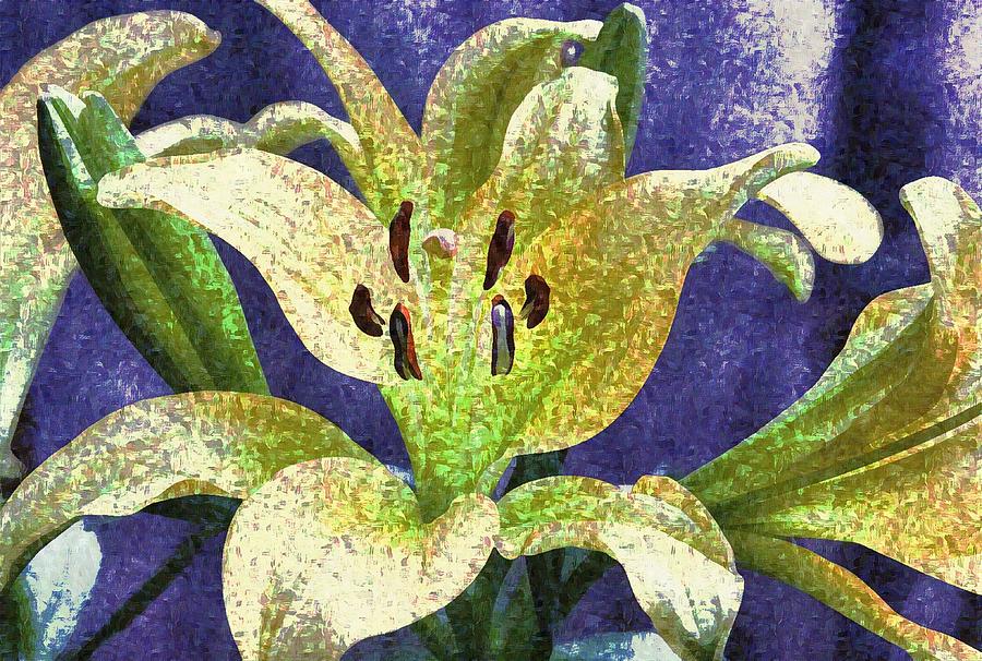 Lily Photograph - Abstract American Lilies 6 by Cathy Lindsey