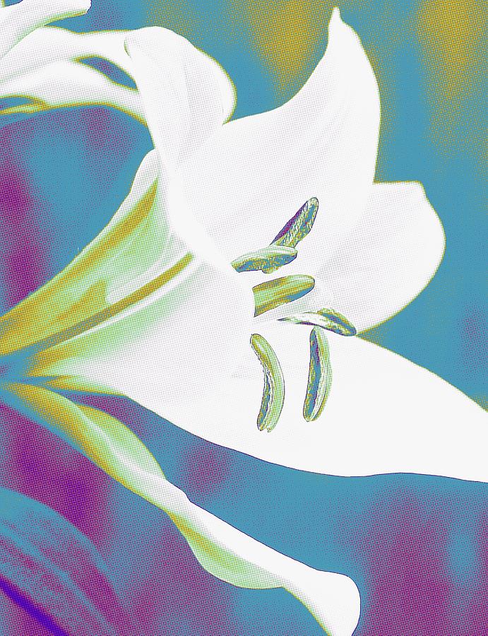 Lily Photograph - Abstract American Way Lily by Cathy Lindsey