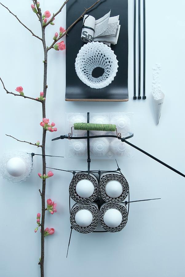 Abstract Arrangement With Cable Ties, Eggs And Flowering Branch Photograph by Matteo Manduzio