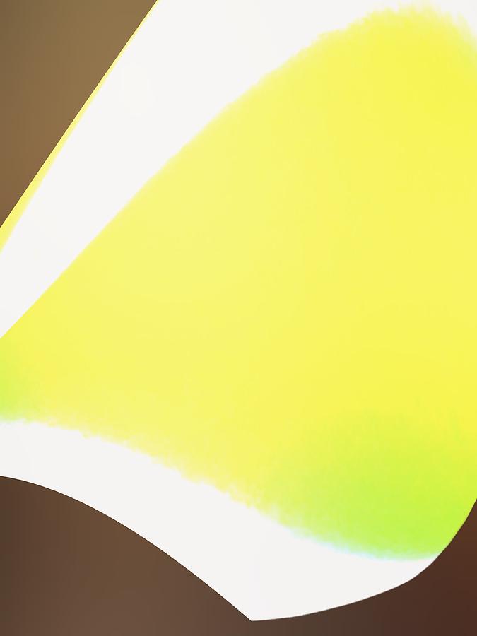 Abstract Art Tropical Blinds Yellow Green Brown Photograph by Itsonlythemoon -