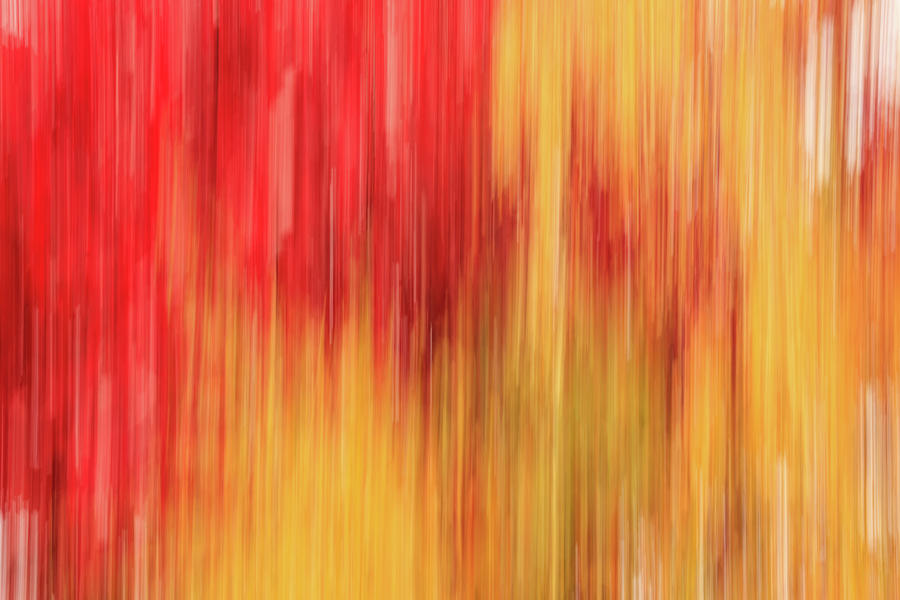 Abstract Autumn in Yellow and Red - vertical motion by Cristina Stefan Abstract Autumn in Yellow and Red - vertical motion by Cristina Stefan