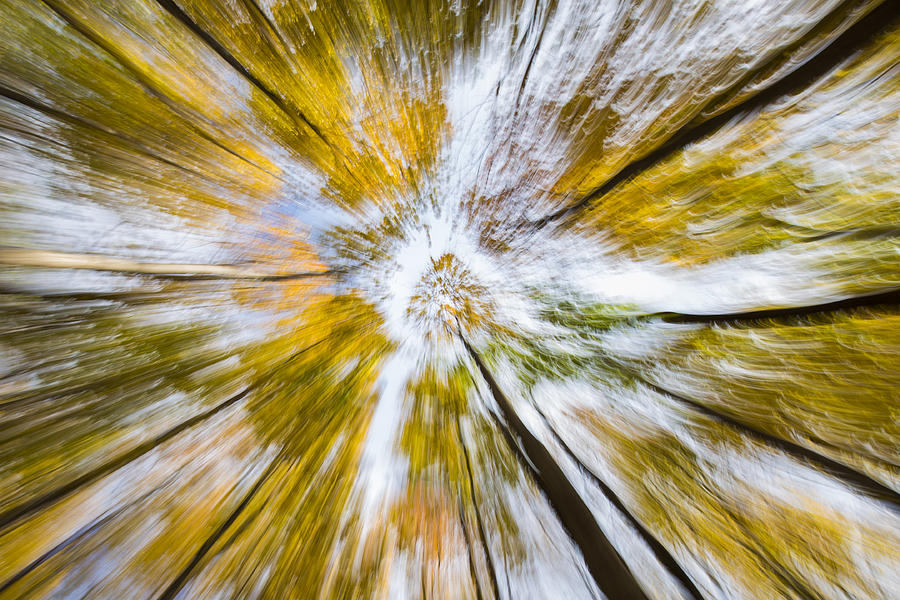 Abstract Autumn Photograph by Mircea Costina - Fine Art America