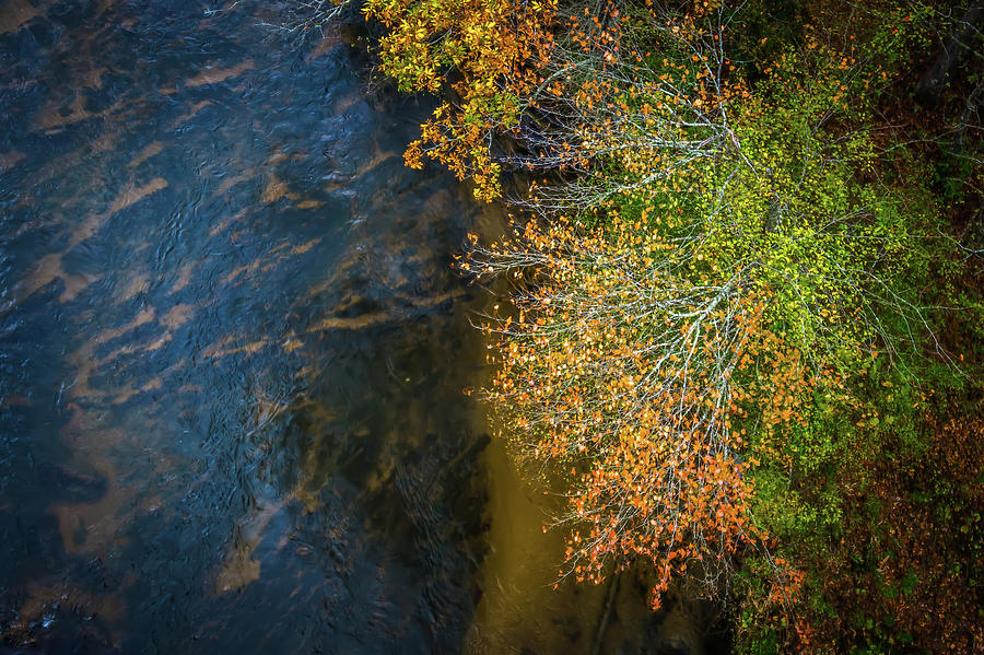Abstract Autumn Trees Aerial Near River Photograph by Alex Grichenko