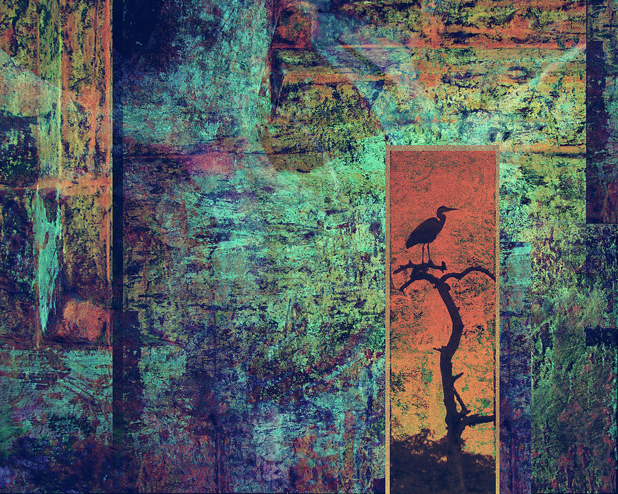 Abstract Bird In The Window Digital Art
