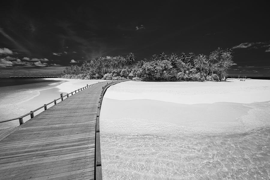 Abstract Black And White Beach Photograph by Levente Bodo - Fine Art