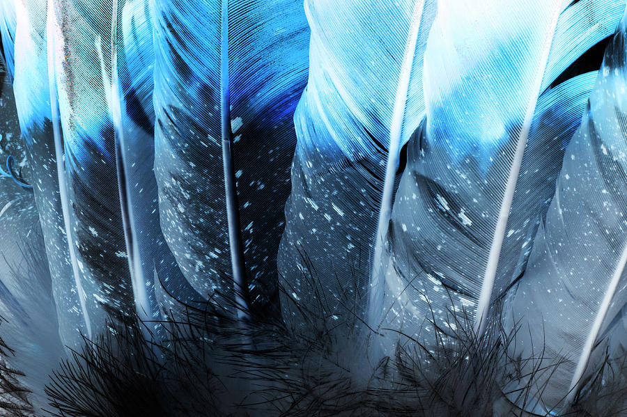 Blue Feathers  Southwestern Art by Bert Saldana