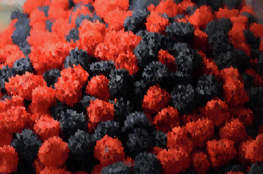 Abstract Candy Gumdrops Red Black 01 Photograph by Thomas Woolworth
