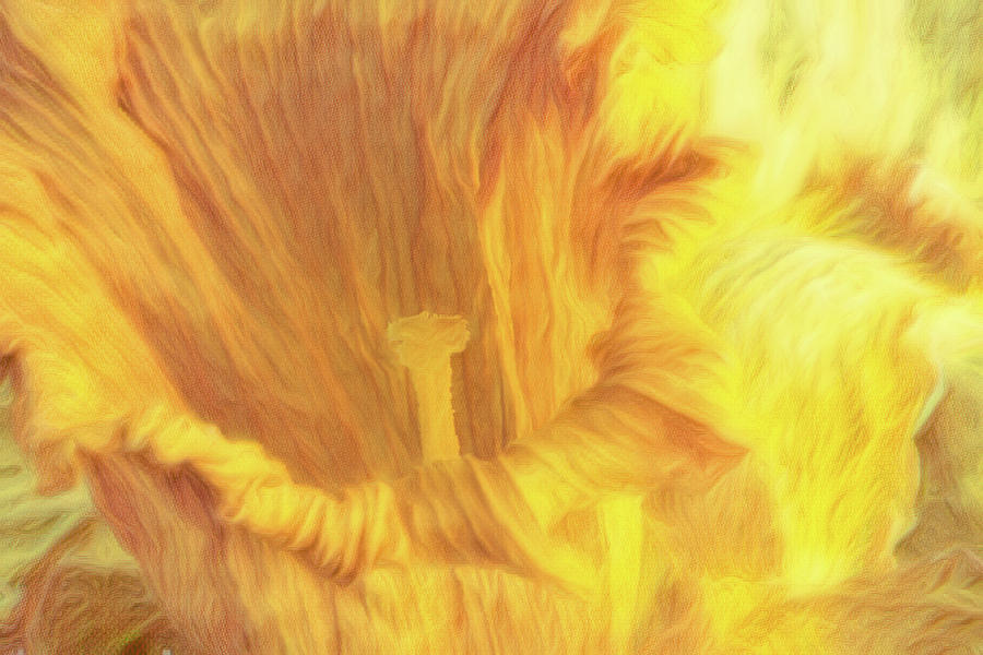 Abstract Photograph - Abstract Daffodil by Tom Mc Nemar