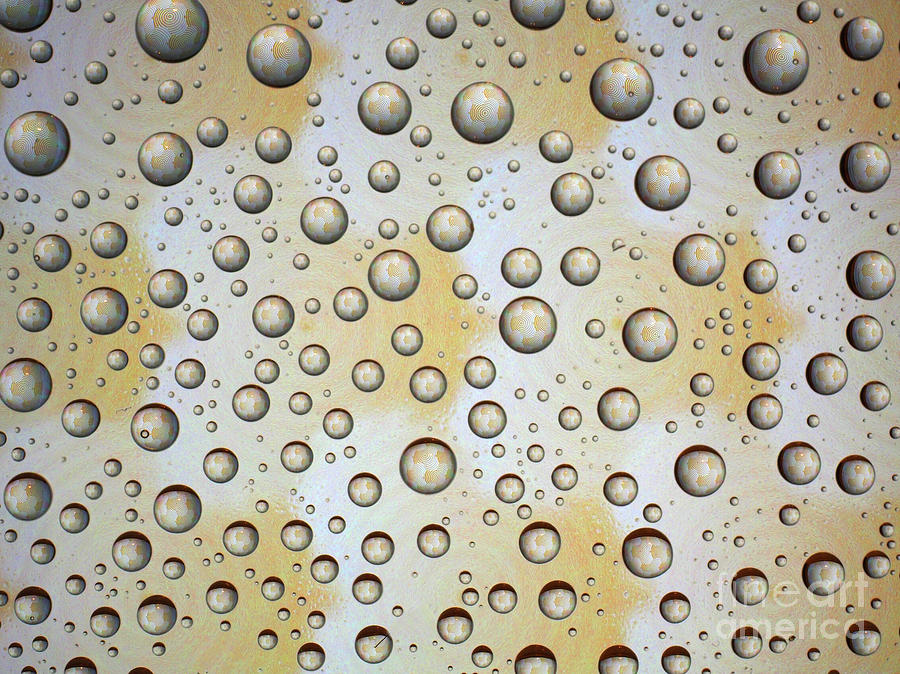 Abstract Design Reflections In Droplets H3 Photograph by Ofer Zilberstein