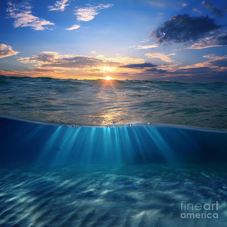 Template Photograph - Abstract Design Template With by Willyam Bradberry Template Photograph - Abstract Design Template With by Willyam Bradberry