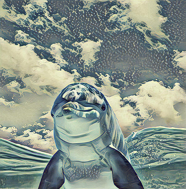 Abstract Dolphin Digital Art