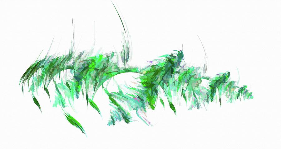 Abstract Feather Green Digital Art by Don Northup
