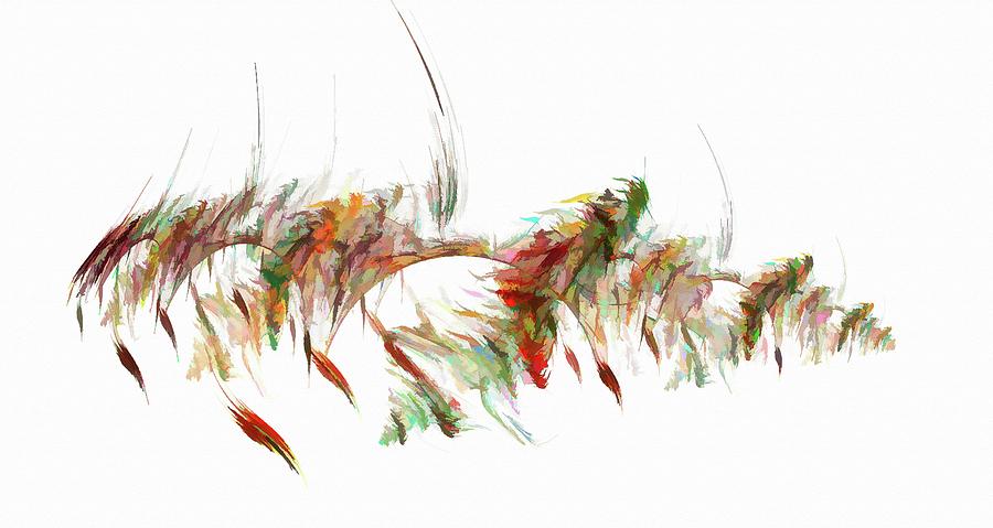Abstract Feather Multicolor Digital Art by Don Northup