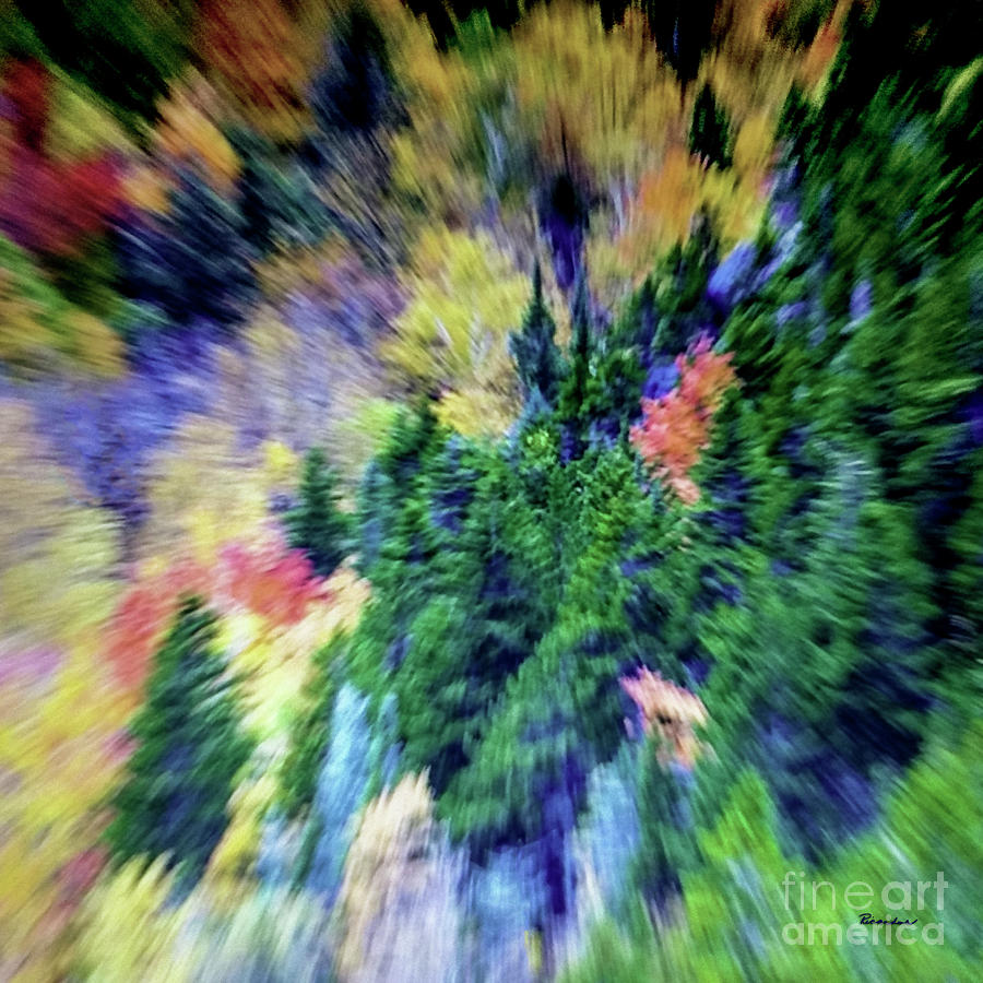 Abstract Forest Photography 5501d2 Photograph by Ricardos Creations