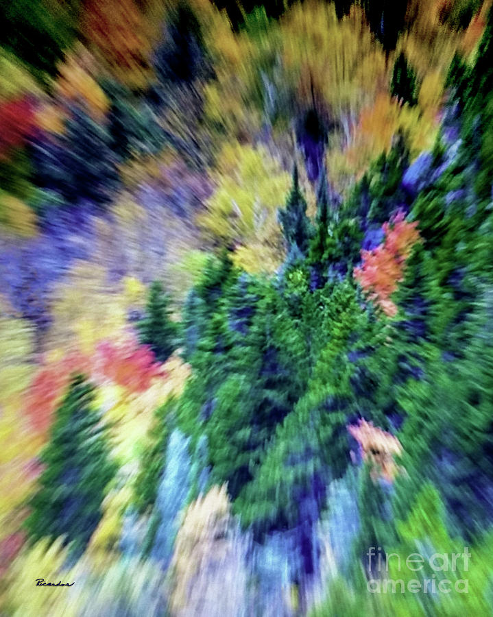 Abstract Forest Photography 5501d3 Photograph by Ricardos Creations