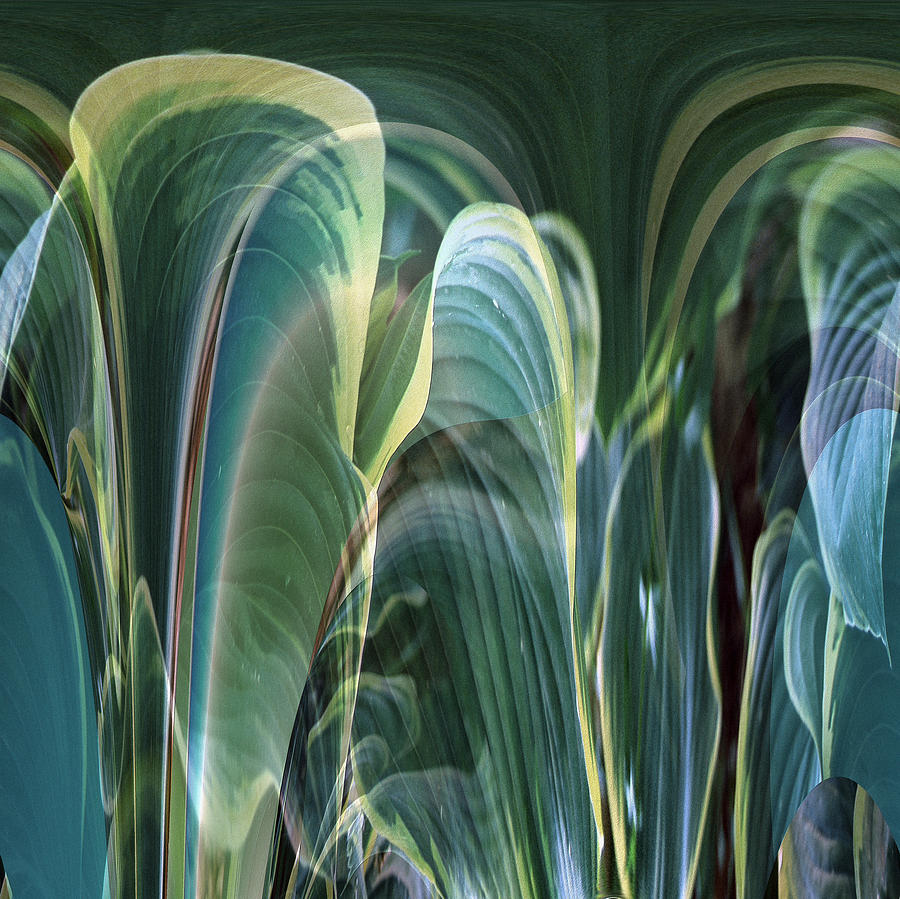 Abstract Hastas by Robert G Kernodle Abstract Hastas by Robert G Kernodle