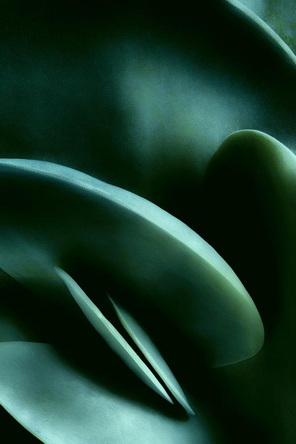 Abstract In Green Photograph by Mark Fuller