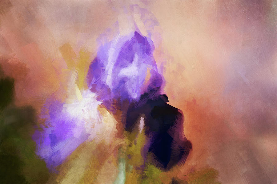 Abstract Iris Painting Digital Art by Terry Davis