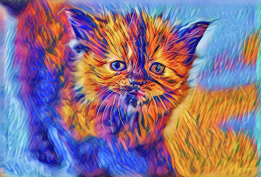 Abstract Kitten Artsy Digital Art by Don Northup