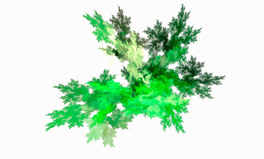 Abstract Leaf Green Digital Art by Don Northup