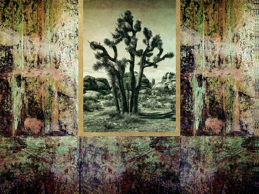 Abstract with a Joshua Tree Photograph by Sandra Selle Rodriguez