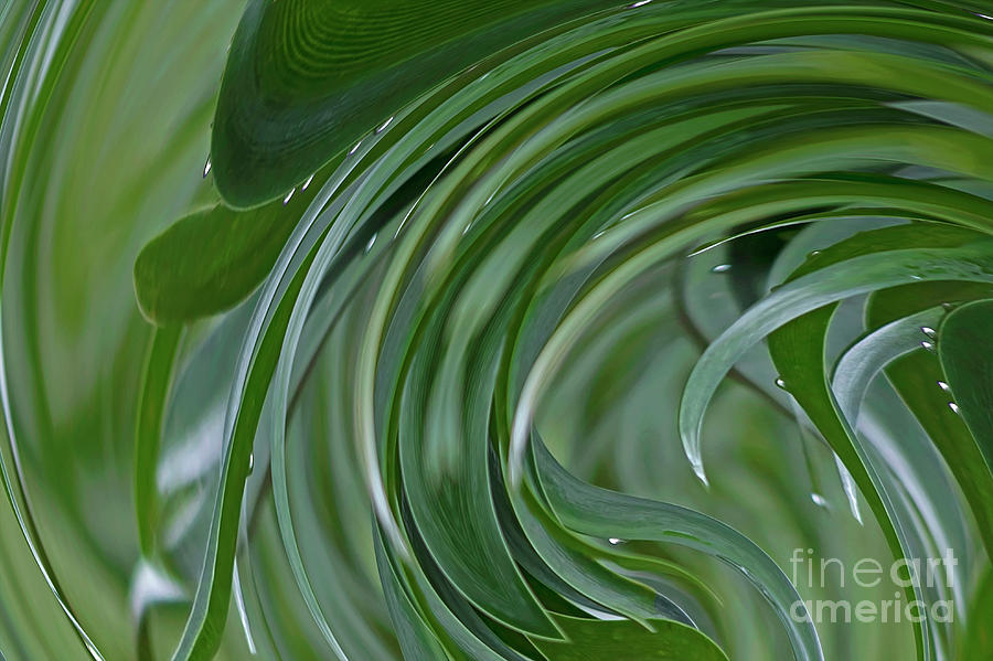 Abstract Photograph - Abstract Ocean Waves In The Garden by Banyan Ranch Studios Abstract Photograph - Abstract Ocean Waves In The Garden by Banyan Ranch Studios