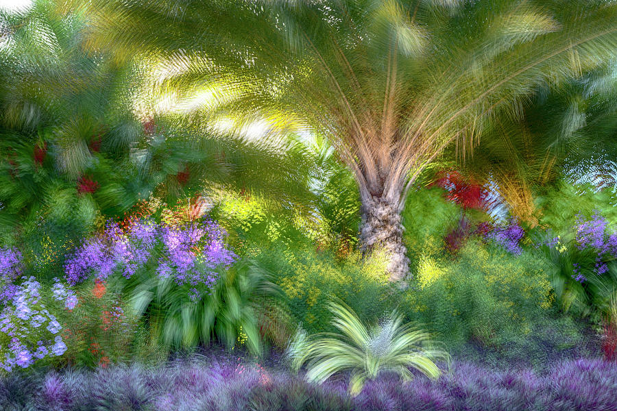 Abstract Of Colorful Garden Digital Art by Laura Diez