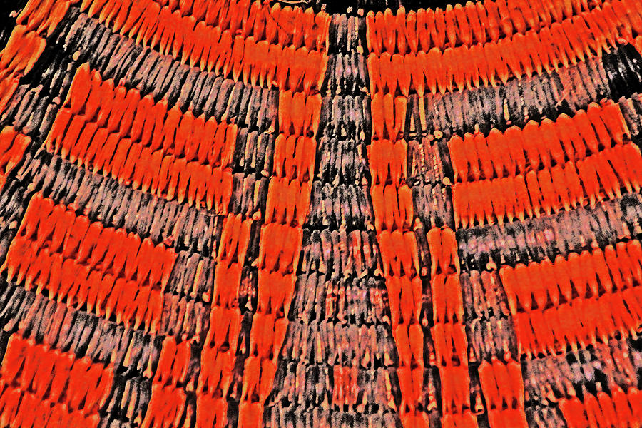 Abstract Oranges Blacks Browns Yellows Rows Columns Angles 3152019 5476 Photograph by David Frederick