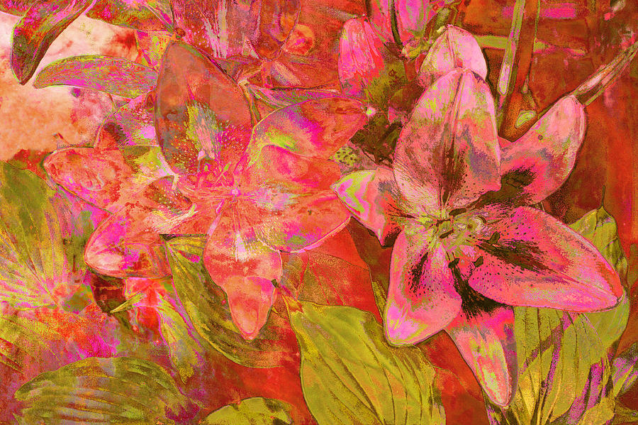 Abstract Pink Lilies Photograph by Suzanne Powers