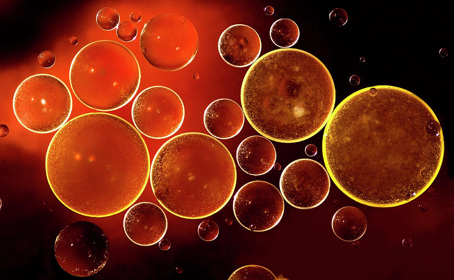 Abstract Red Bubbles Photograph by Zeljkosantrac