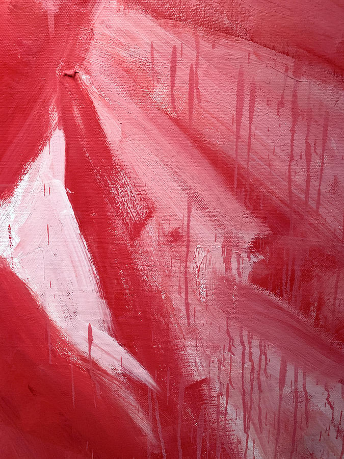 Abstract Red Paint Photograph by Marilyn Hunt