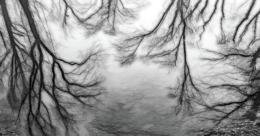 Abstract Reflections in Black and White Photograph by Marcy Wielfaert