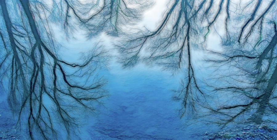 Abstract Reflections in Blue Photograph by Marcy Wielfaert