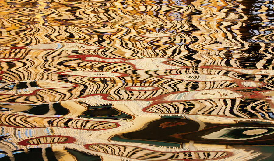 Abstract Reflections On The Surface Of Photograph by Mint Images - Art Wolfe