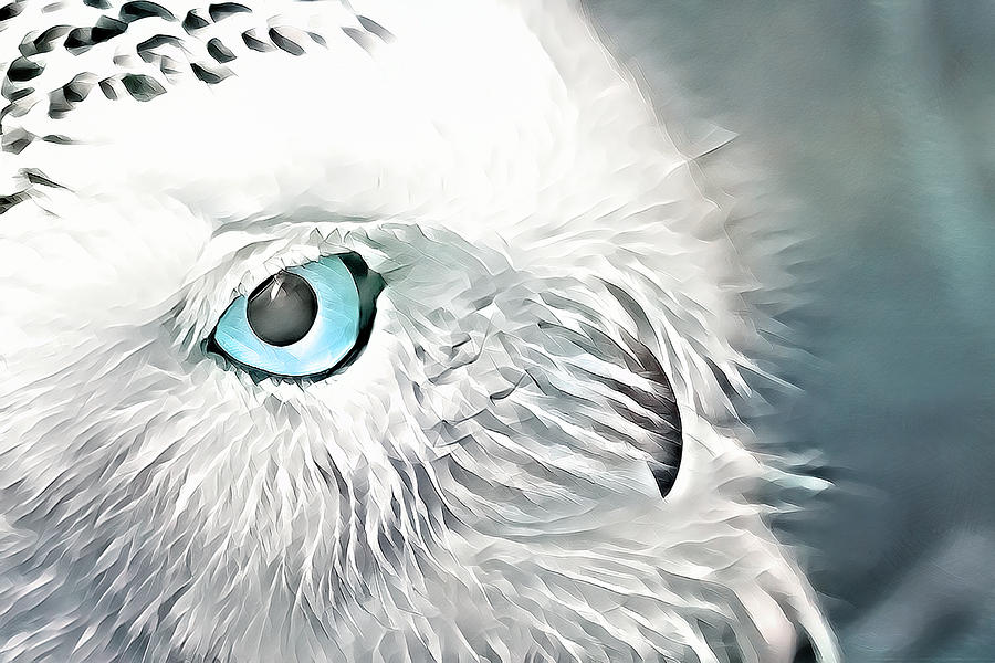 Abstract Snow Owl Digital Art by Terry Davis