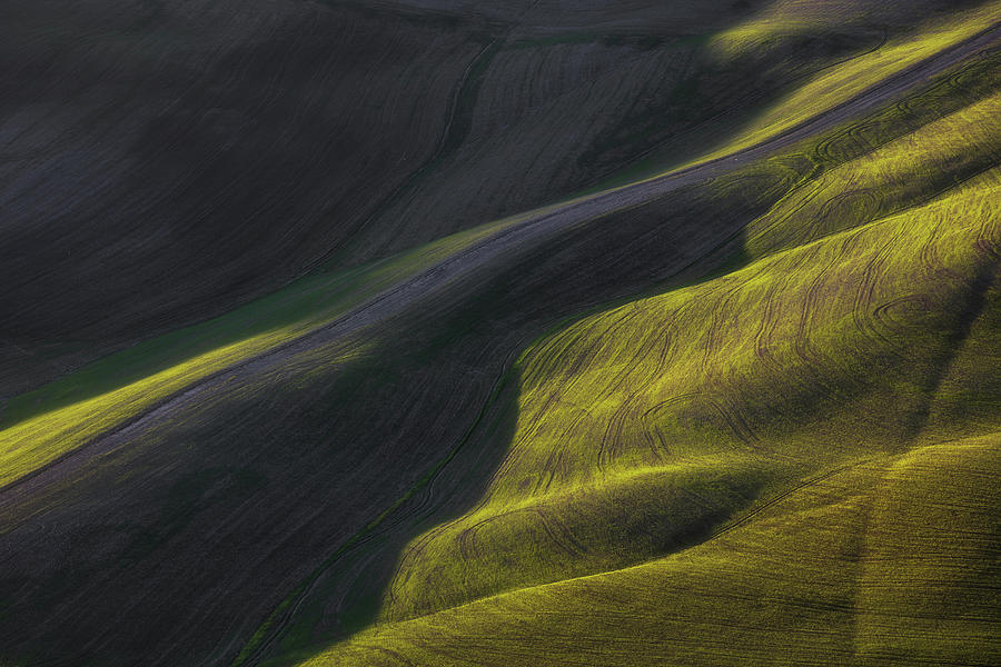 Abstract landscape in Tuscany Photograph by Stefano Orazzini