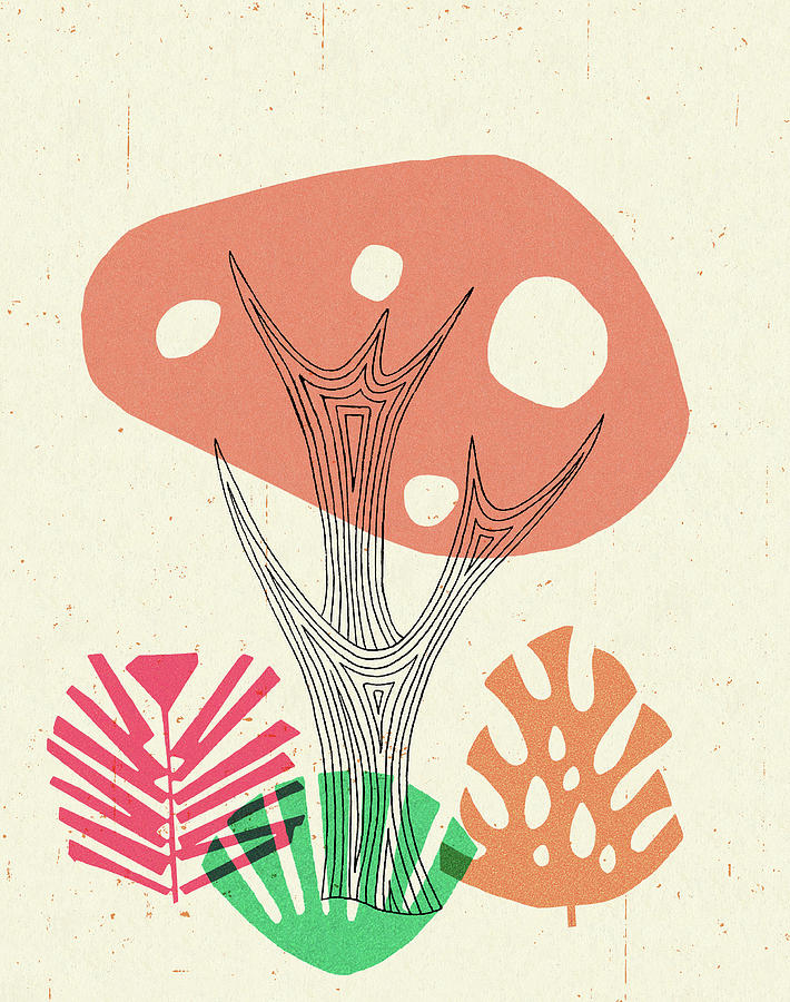 Abstract Drawing - Abstract Tree and Plants by CSA Images