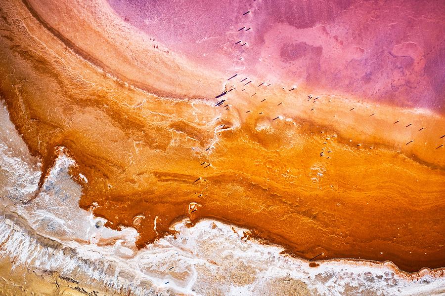 Abstract View Of Pink Lake Salt Water Photograph by Ivan Kmit - Fine