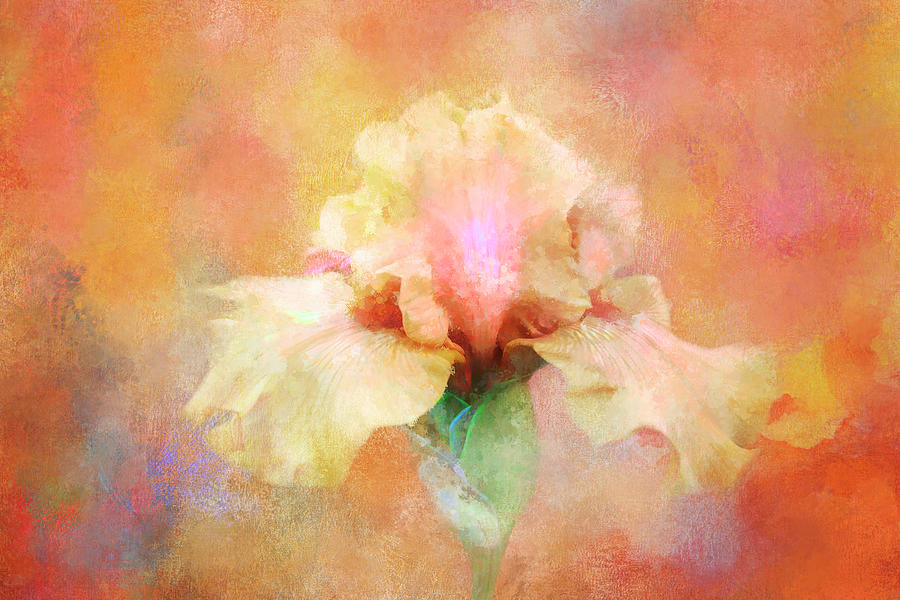 Abstract Yellow Iris Digital Art by Terry Davis