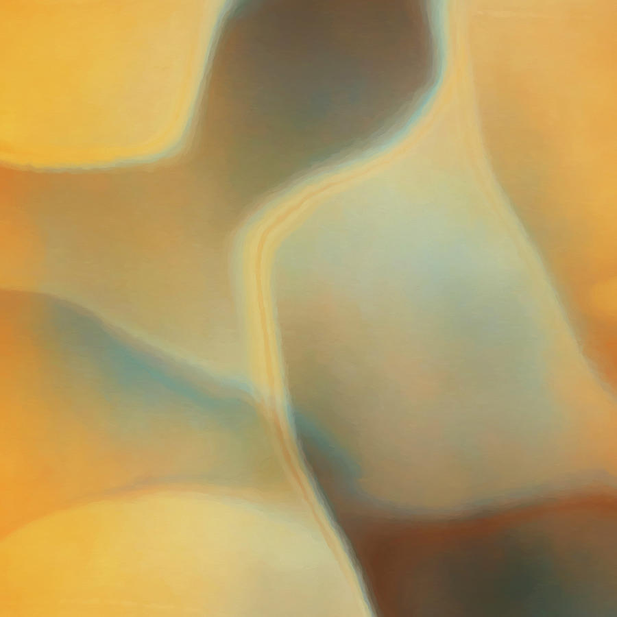 Abstract Photograph - Abstract Yellows And Ochers by Cora Niele