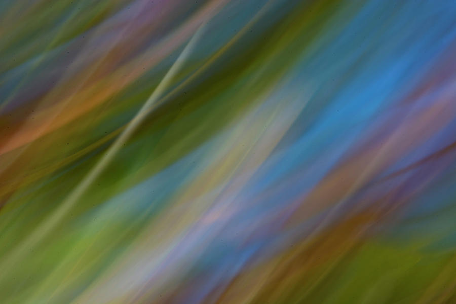 Abstraction from Nature - Blue Sky and Foliage Photograph by Mitch Spence