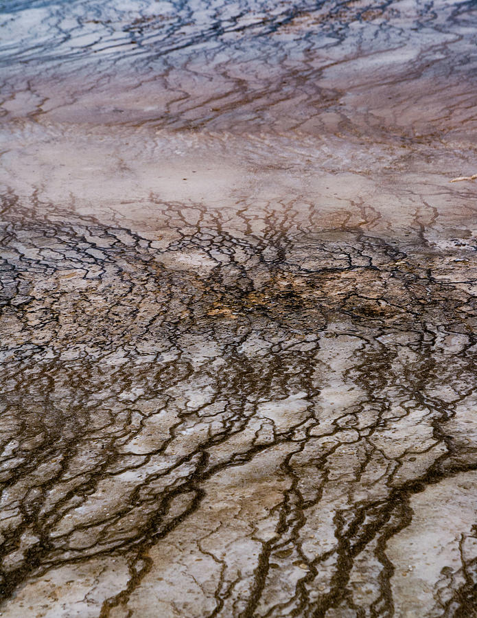 Abstractions At Yellowstone Photograph by By Sathish Jothikumar