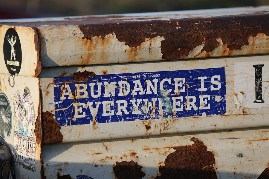 Abundance is Everywhere Photograph by Christy Pooschke