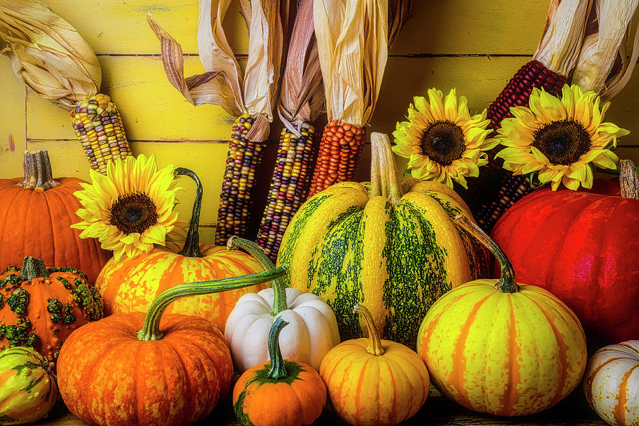Abundance Of Different Kinds Of Pumpkins Photograph by Garry Gay