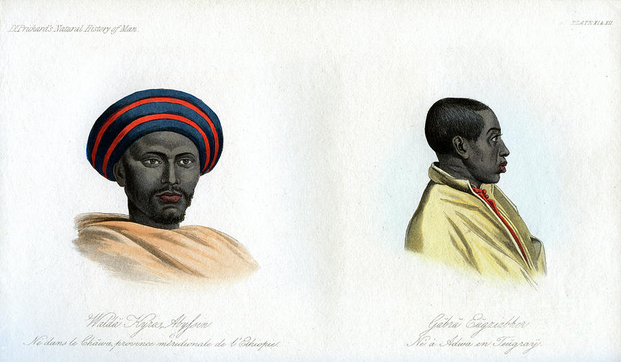 Abyssinian Portraits, 1848 Drawing by Print Collector