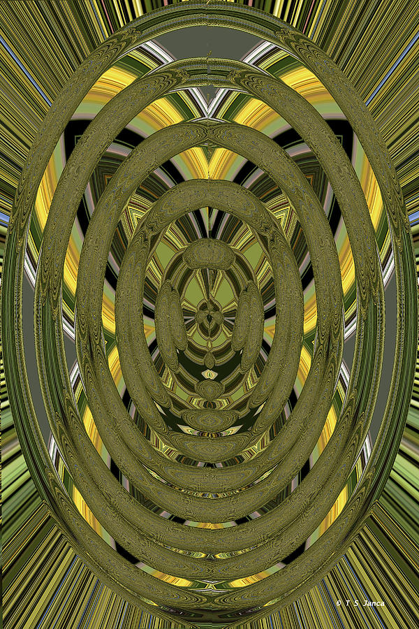 Acacia Flowers Abstract Digital Art by Tom Janca