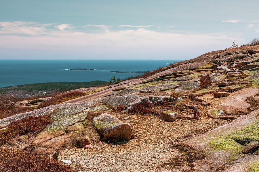Acadia NP - Pink Cadillac Photograph by ProPeak Photography