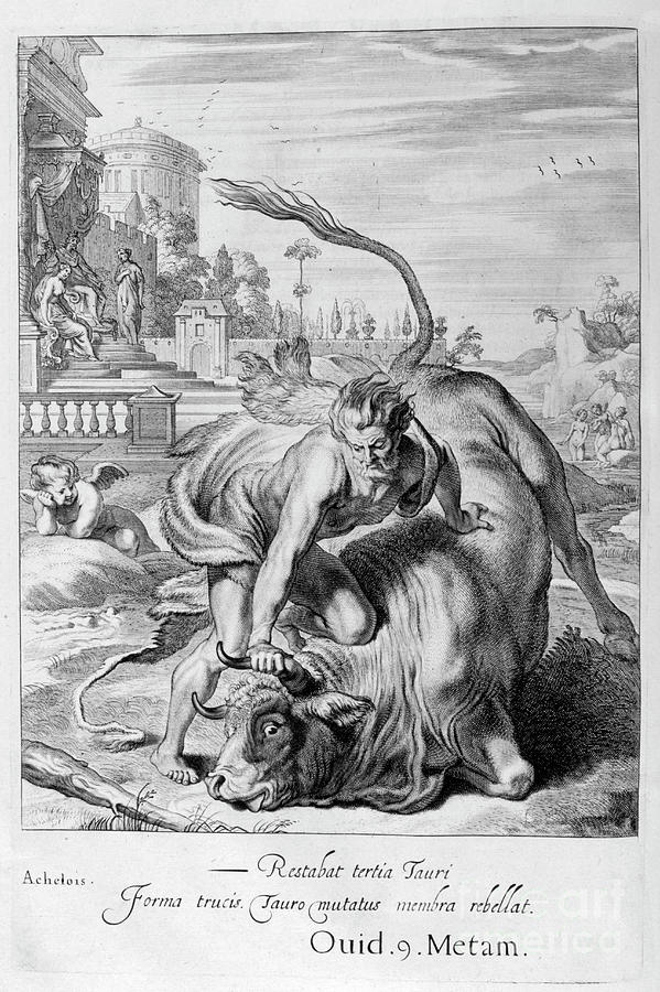 Achelous In The Shape Of A Bull Drawing by Print Collector