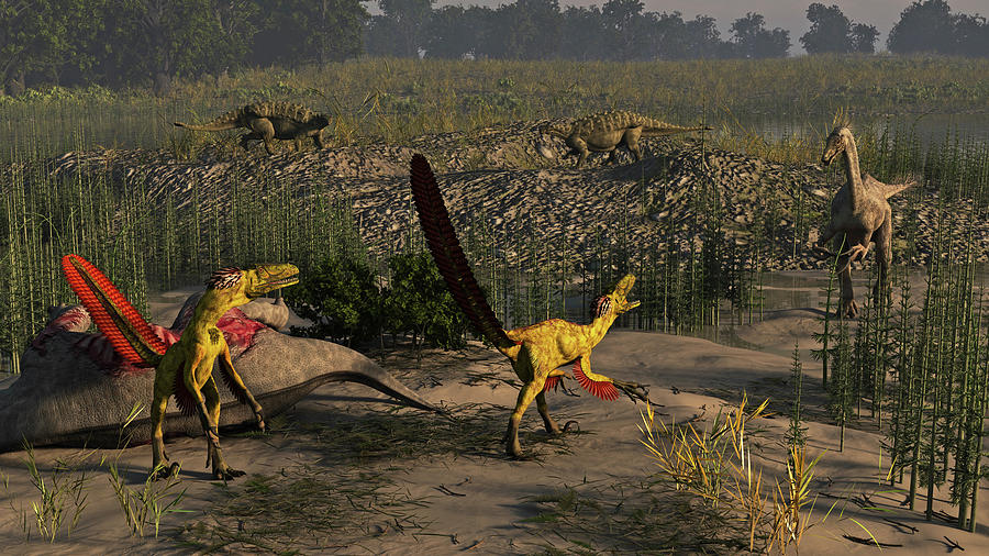 Achillobator, Segnosaurus And Talarurus Photograph by Arthur Dorety