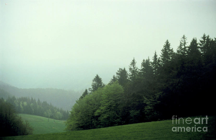 Acid Fog Settling Over The Black Forest Photograph by Science Photo Library Acid Fog Settling Over The Black Forest Photograph by Science Photo Library